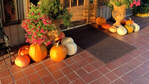 A building with a wooden door, a window, and a brick wall. There are potted plants and pumpkins outside.