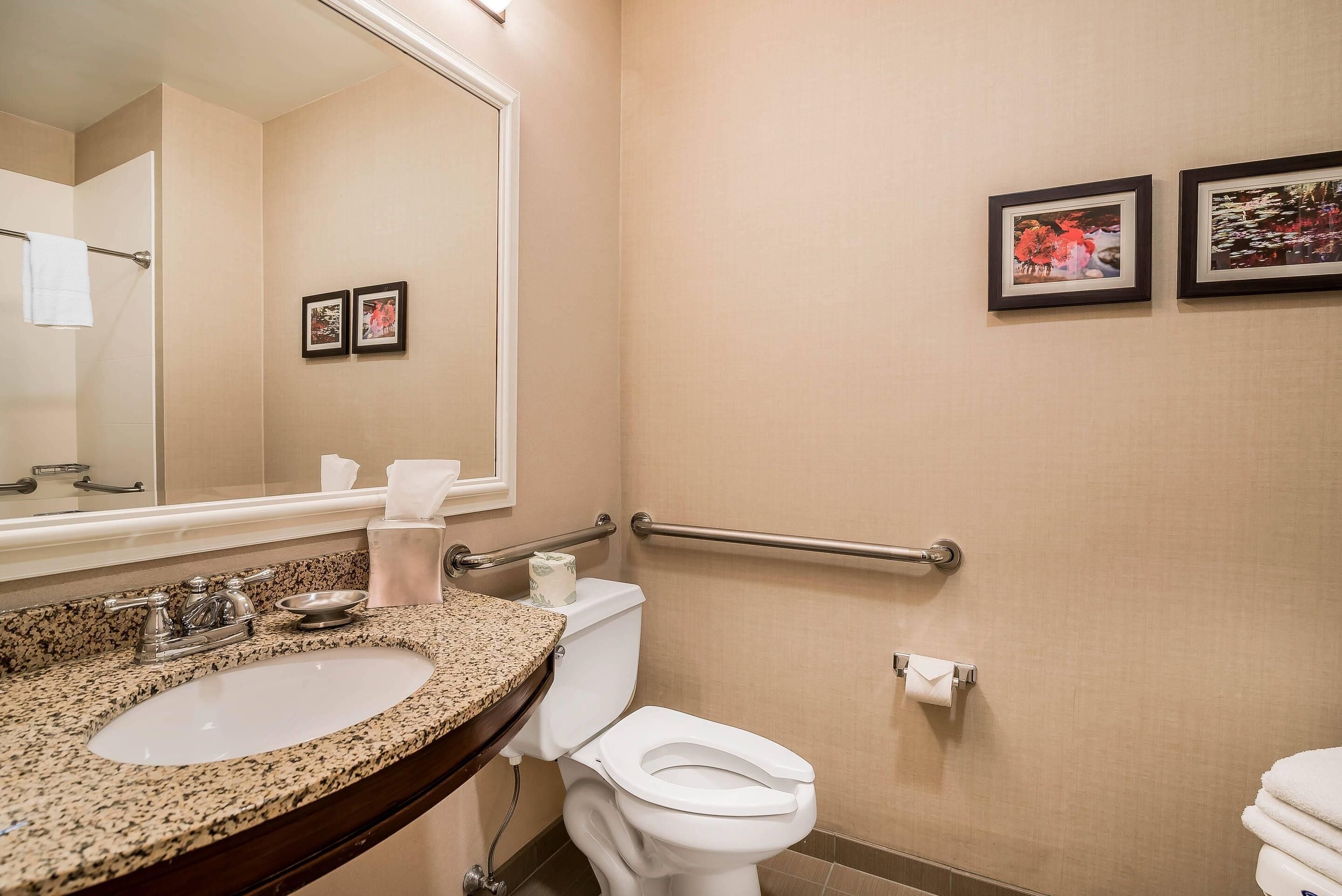 A bathroom with a sink, toilet, and handrails.
