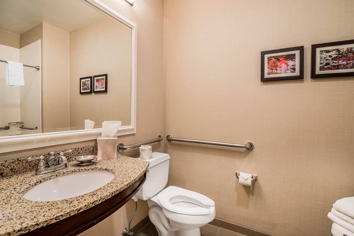 A bathroom with a sink, toilet, and handrails.