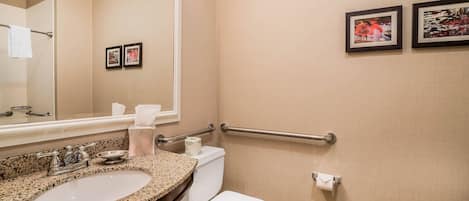 A bathroom with a sink, toilet, and handrails.