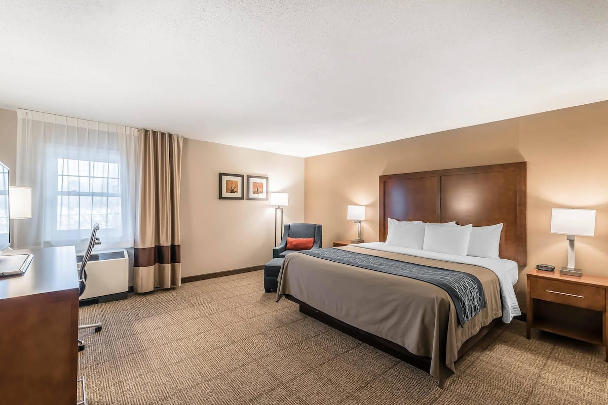 Standard Room, 1 King Bed, Non Smoking | Desk, blackout drapes, iron/ironing board, free cribs/infant beds