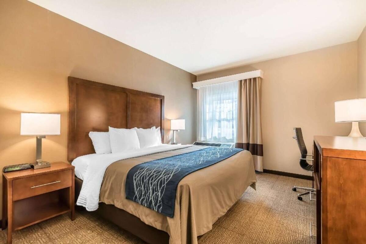 A hotel room with a bed, two bedside lamps, a desk with a chair, and a window with curtains.
