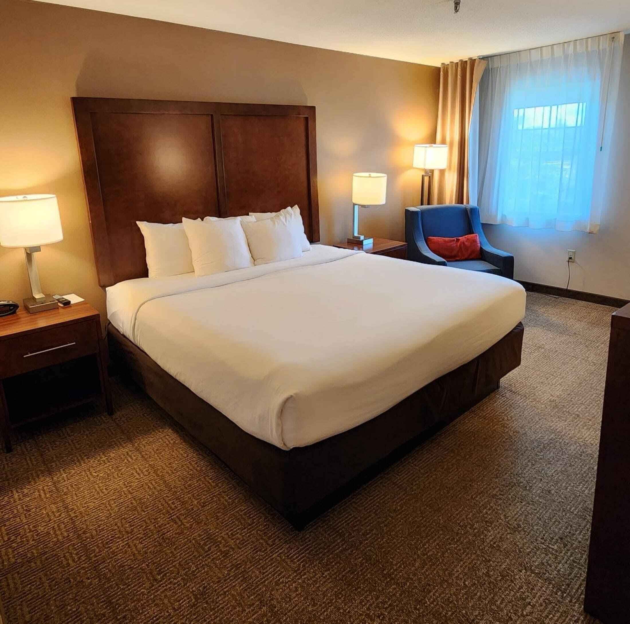 Standard Room, 1 King Bed, Non Smoking | Desk, blackout drapes, iron/ironing board, cribs (free)