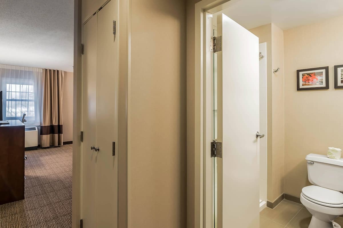 standard room, 1 king bed, non smoking | desk, blackout curtains, iron/ironing board, free cots/infant beds