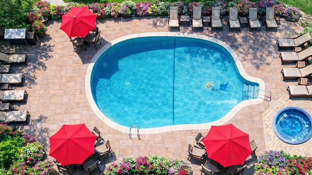 A swimming pool with lounge chairs and umbrellas, surrounded by flower beds.