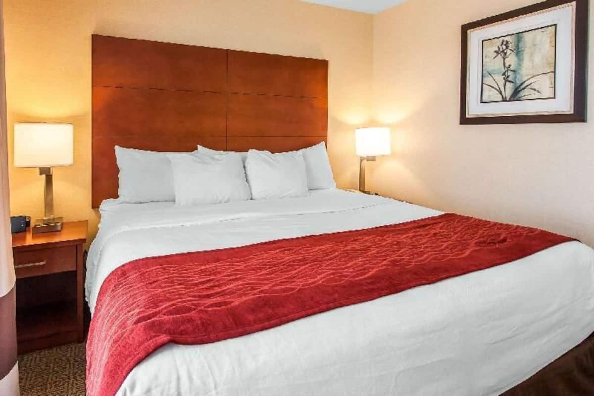 Premium bedding, down comforters, pillowtop beds, individually decorated