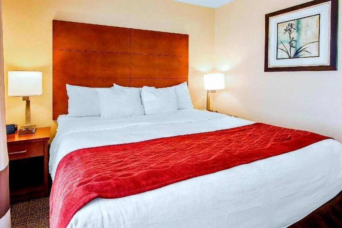 A hotel room with a large bed, two bedside lamps, a framed picture on the wall, and a red throw blanket.