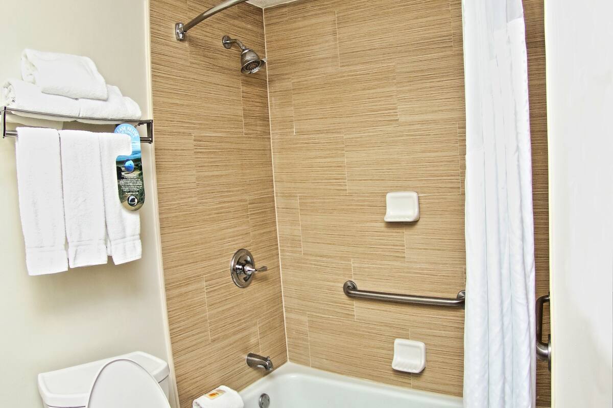 combined shower/bathtub, eco-friendly toiletries, hair dryer, towels