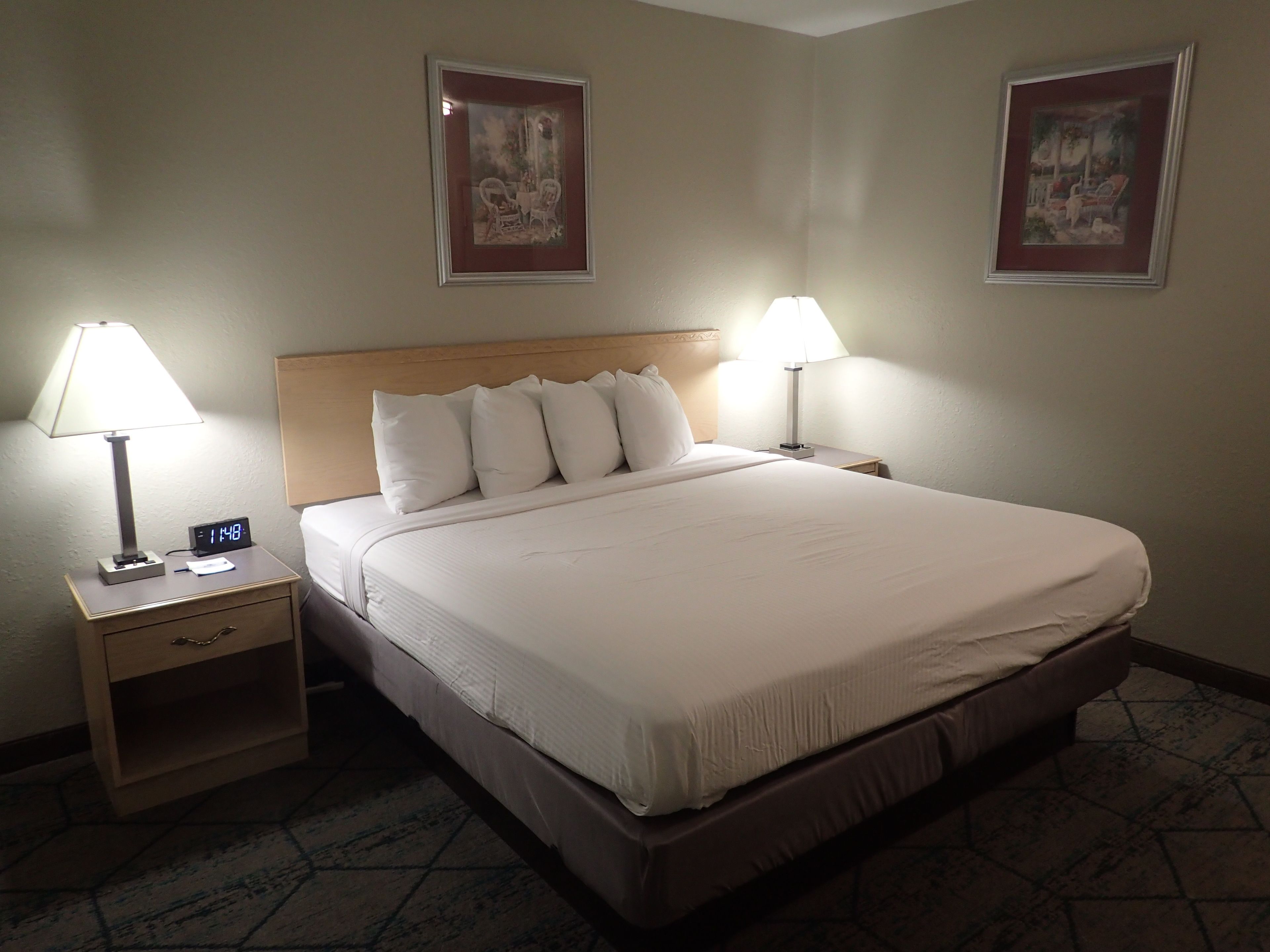 Top 8 PetFriendly Hotels In Effingham, Illinois Updated 2024 Trip101