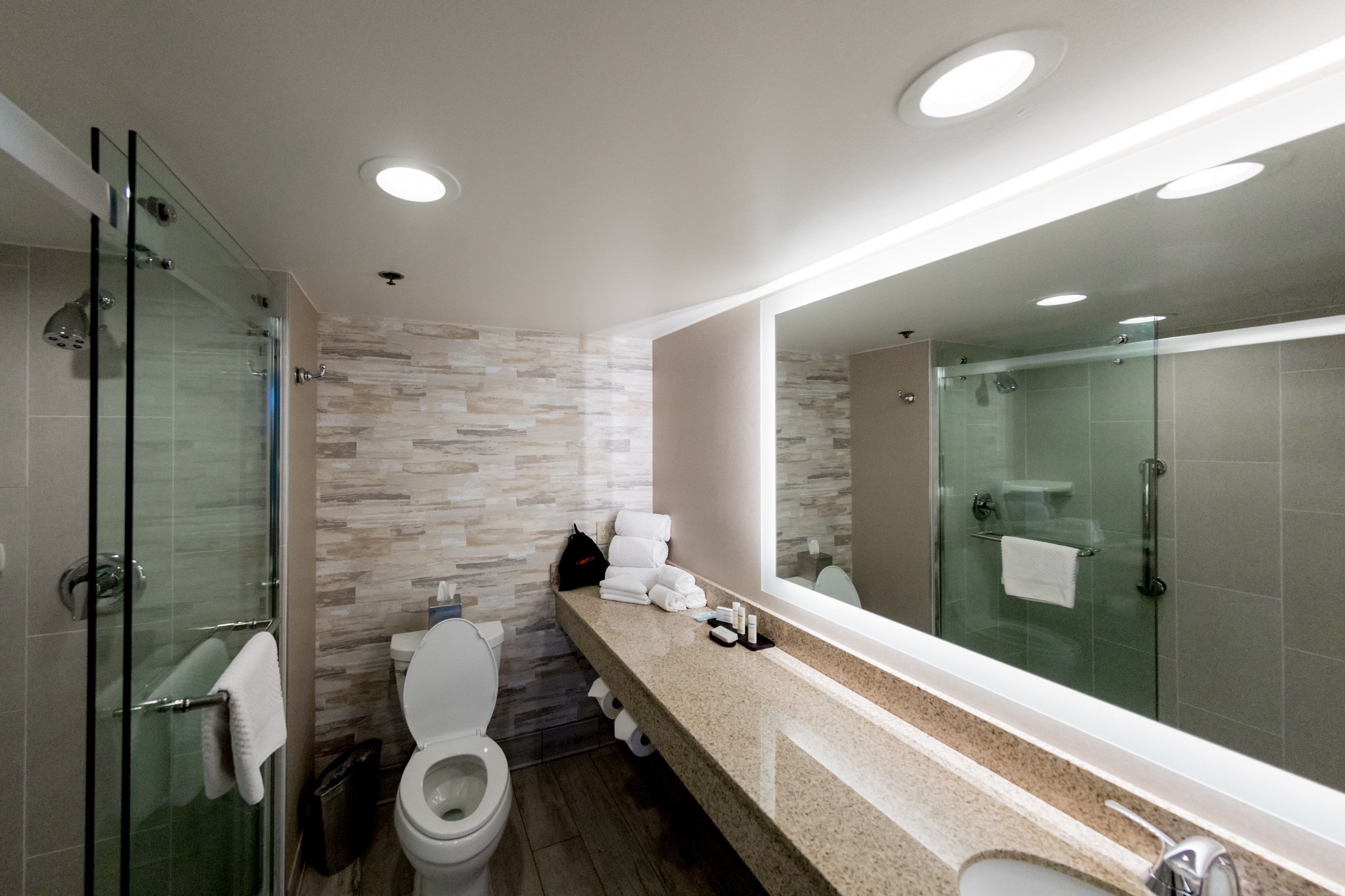 A modern bathroom with a glass-enclosed shower, a toilet, and a vanity with a mirror.