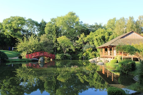 Japanese garden. Novotel Toulouse Centre Compans Caffarelli