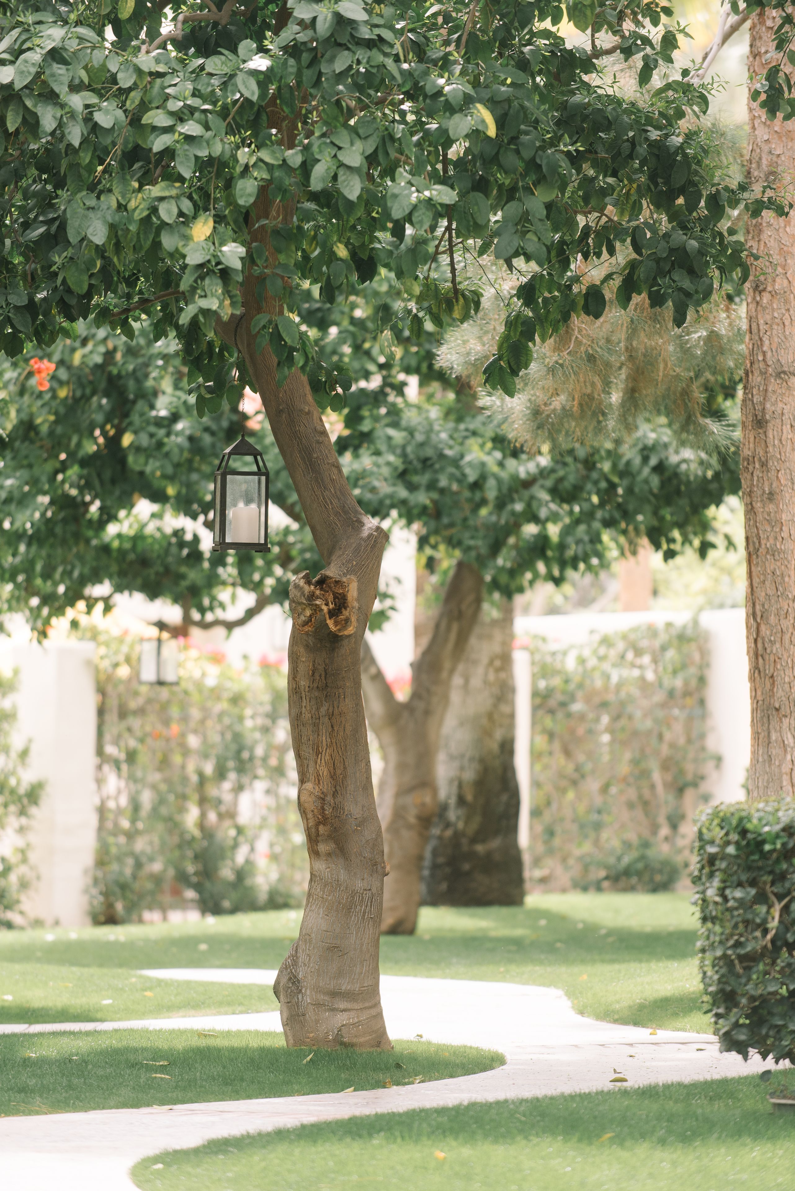 Foto - Palm Mountain Resort & Spa