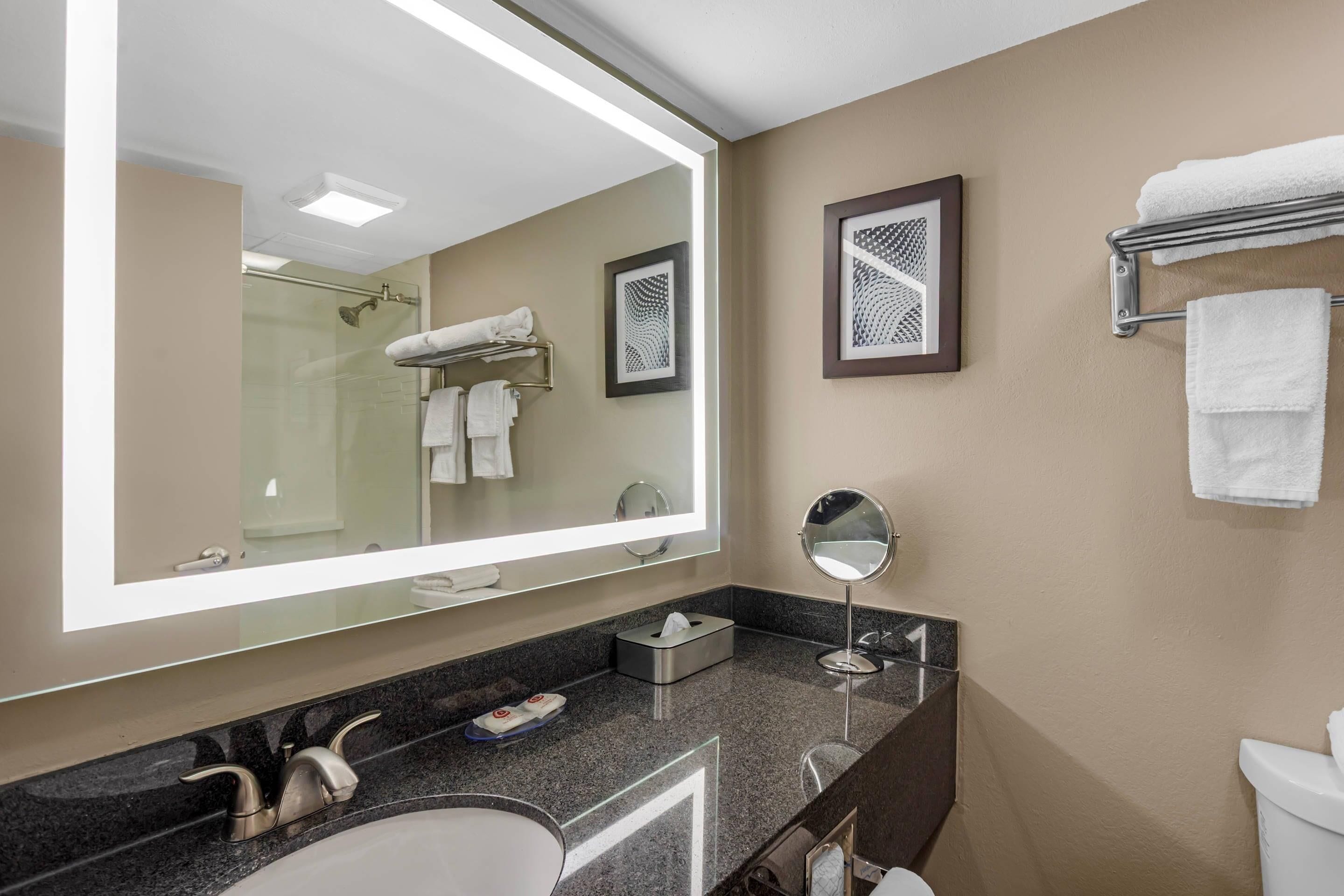 Suite, para no fumadores (1 King Bed) | Escritorio, cortinas blackout y tabla de planchar con plancha 