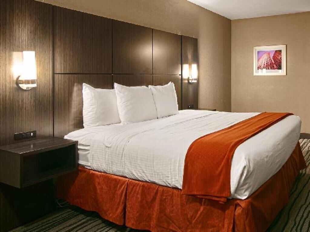 Premium bedding, desk, iron/ironing board, rollaway beds