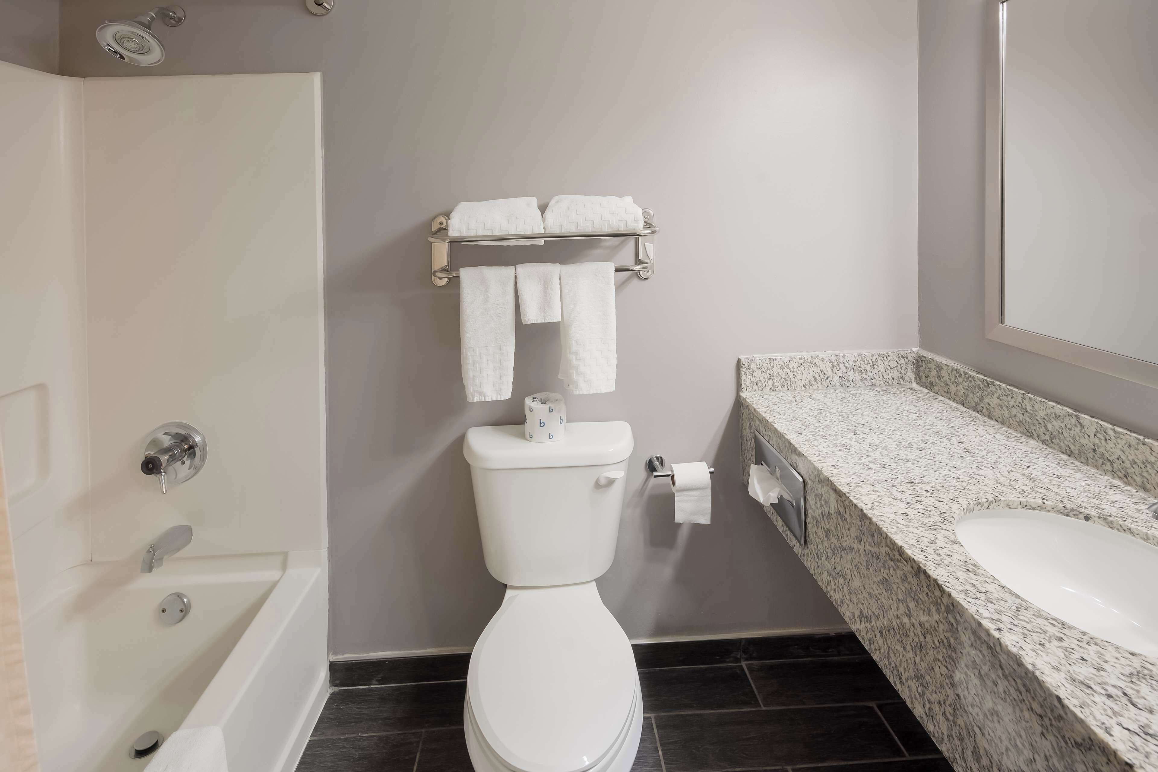 Suite, 1 letto king, non fumatori, frigorifero | Bagno | Articoli per l'igiene personale ecosostenibili, asciugacapelli