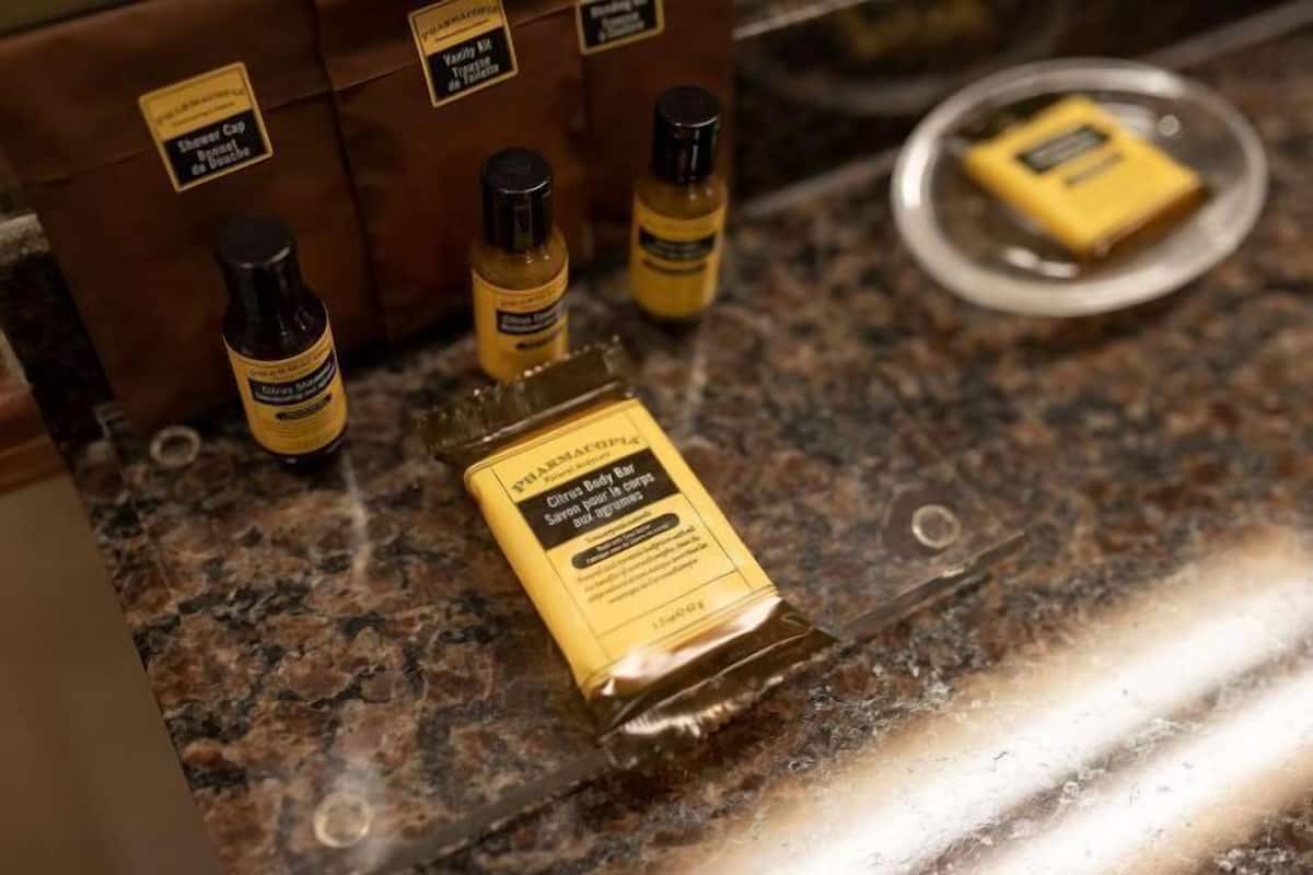 Articles de toilette écologiques, séchoir à cheveux, serviettes fournies