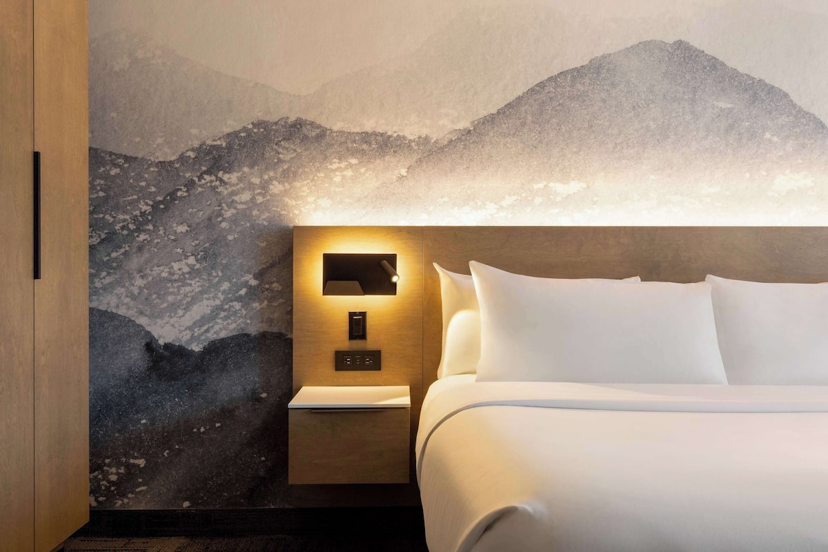 Executive Room, 1 King Bed, Non Smoking (Shower Only;Larger Room)