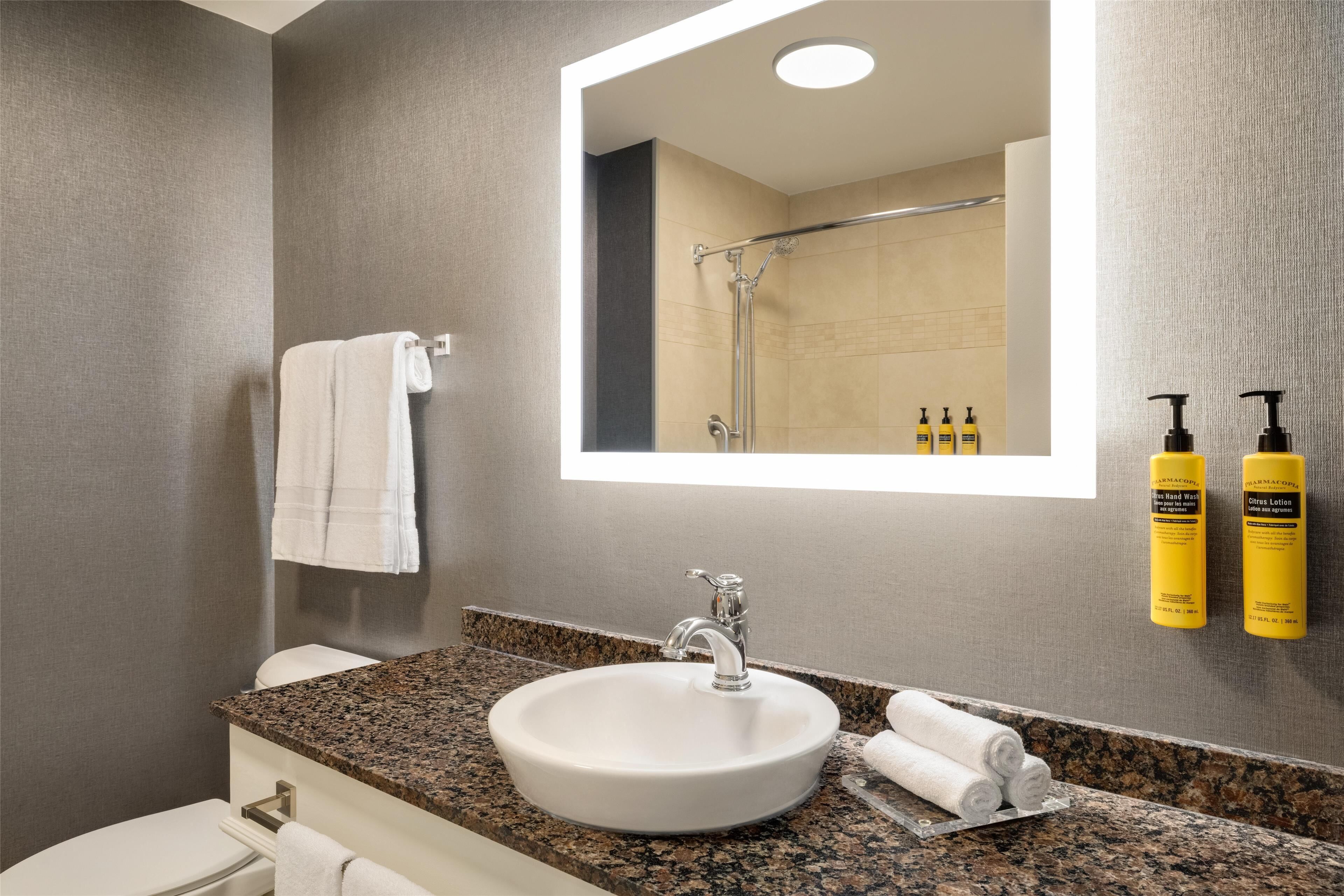 eco-friendly toiletries, hair dryer, towels