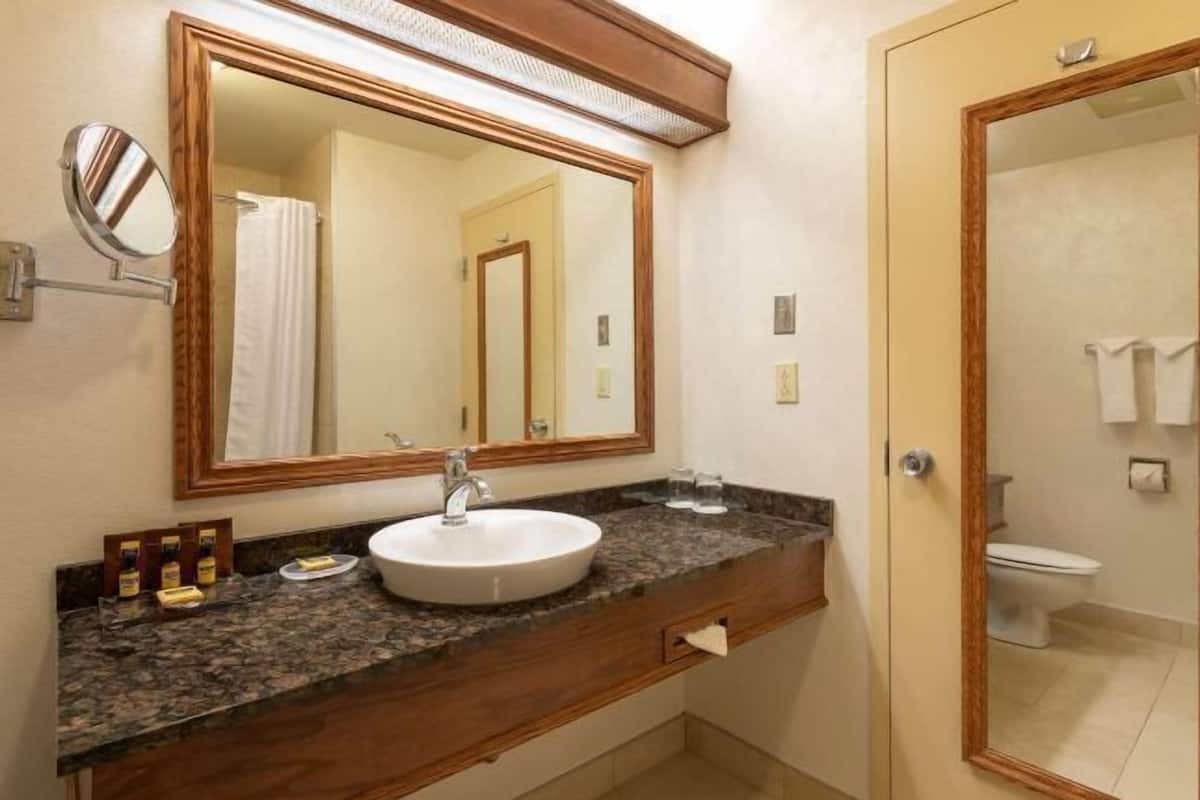 Eco-friendly toiletries, hair dryer, towels