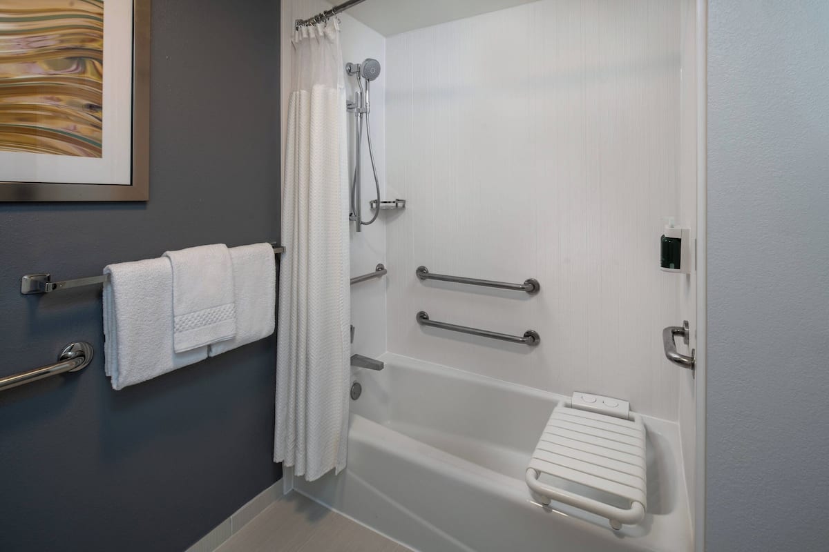 Combined shower/bathtub, free toiletries, hair dryer, towels