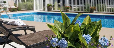 Un área junto a la piscina con sillones de descanso, una planta en maceta con flores azules y una valla blanca al fondo.