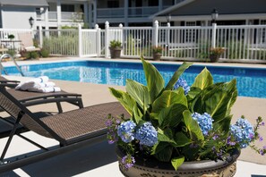A poolside area with lounge chairs, a potted plant with blue flowers, and a white fence in the background.