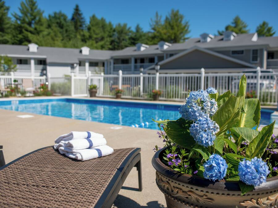 Un espace aménagé au bord de la piscine, avec des chaises longues, un pot de fleurs contenant des fleurs bleues et une piscine.