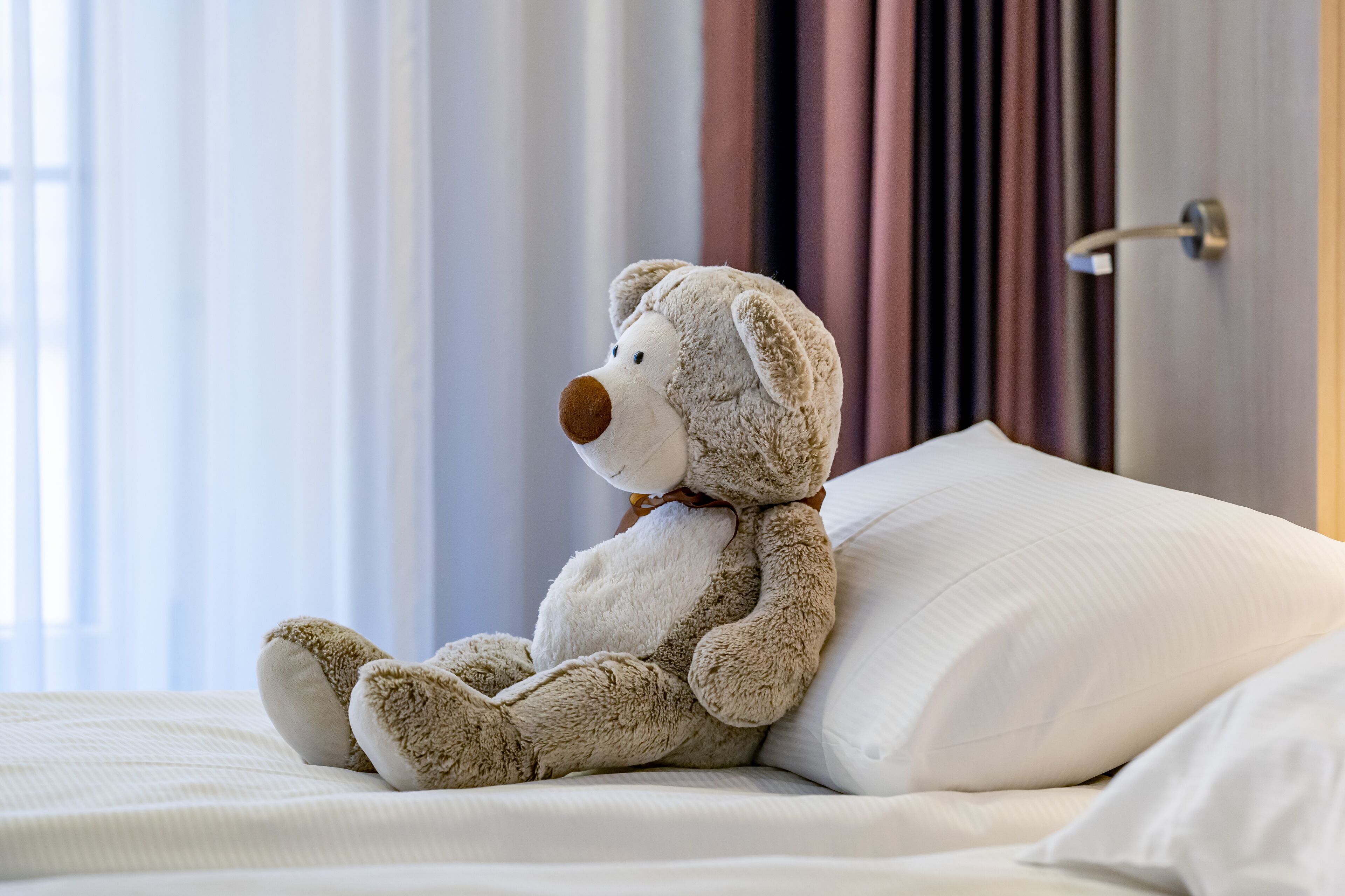 family room, non smoking | 1 bedroom, egyptian cotton sheets, premium bedding, down duvets