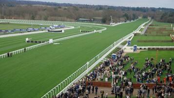 A large outdoor venue with a green field, white fences, and a crowd of people.