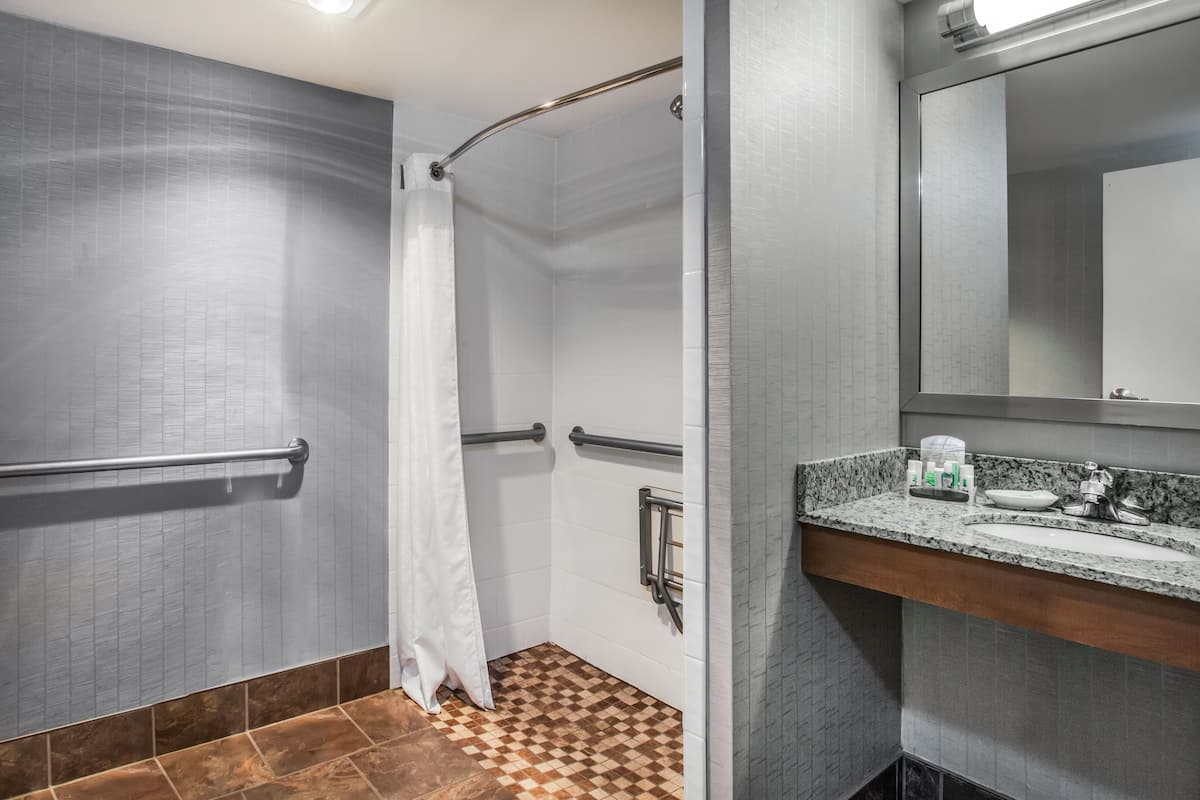 Camera Standard, 1 letto king, accessibile ai disabili (Roll-In Shower) | Bagno | Combinazione doccia/vasca, set di cortesia firmato, asciugacapelli