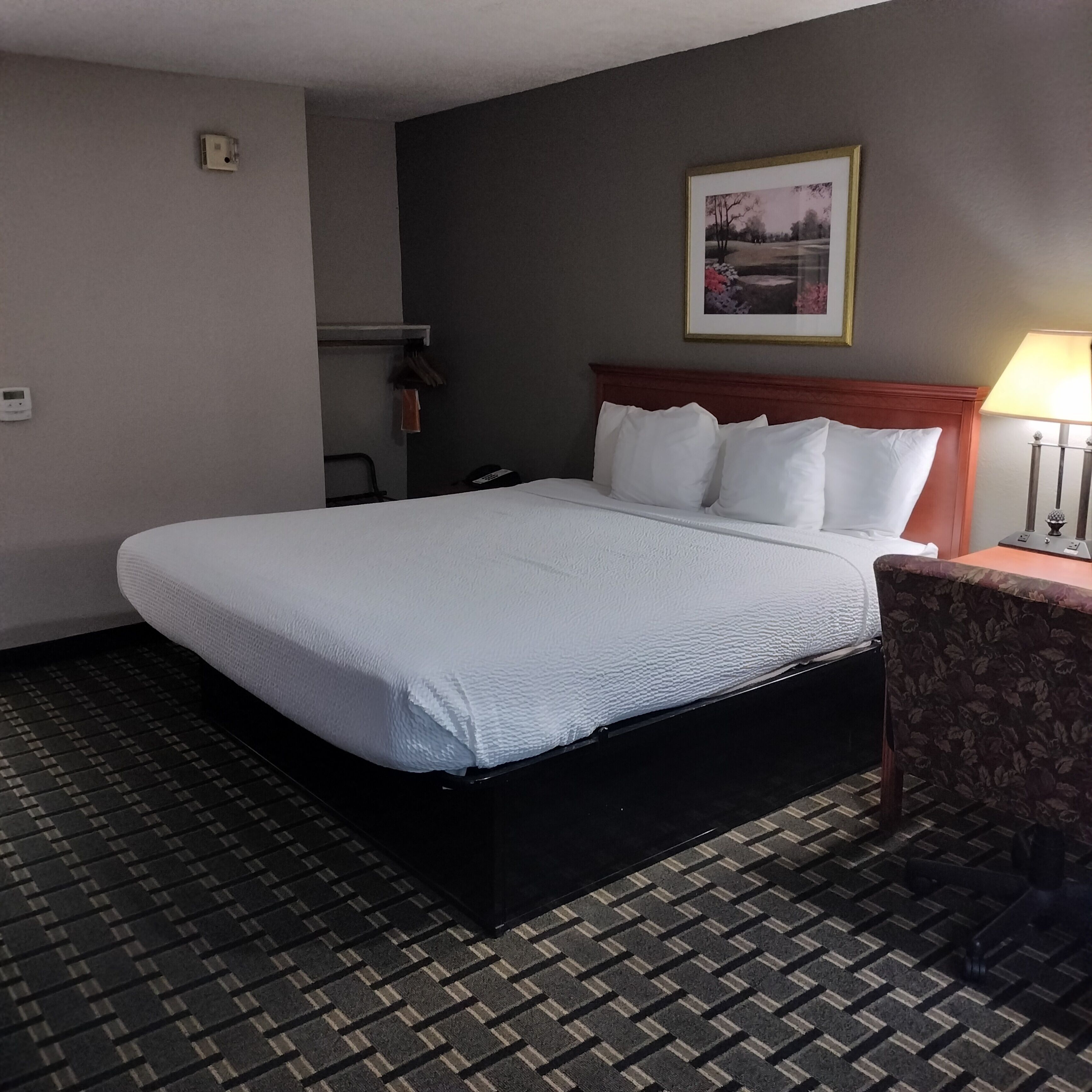 Standard Room, 1 King Bed, Roll-in Shower, Non Smoking (Handicap Accessible)