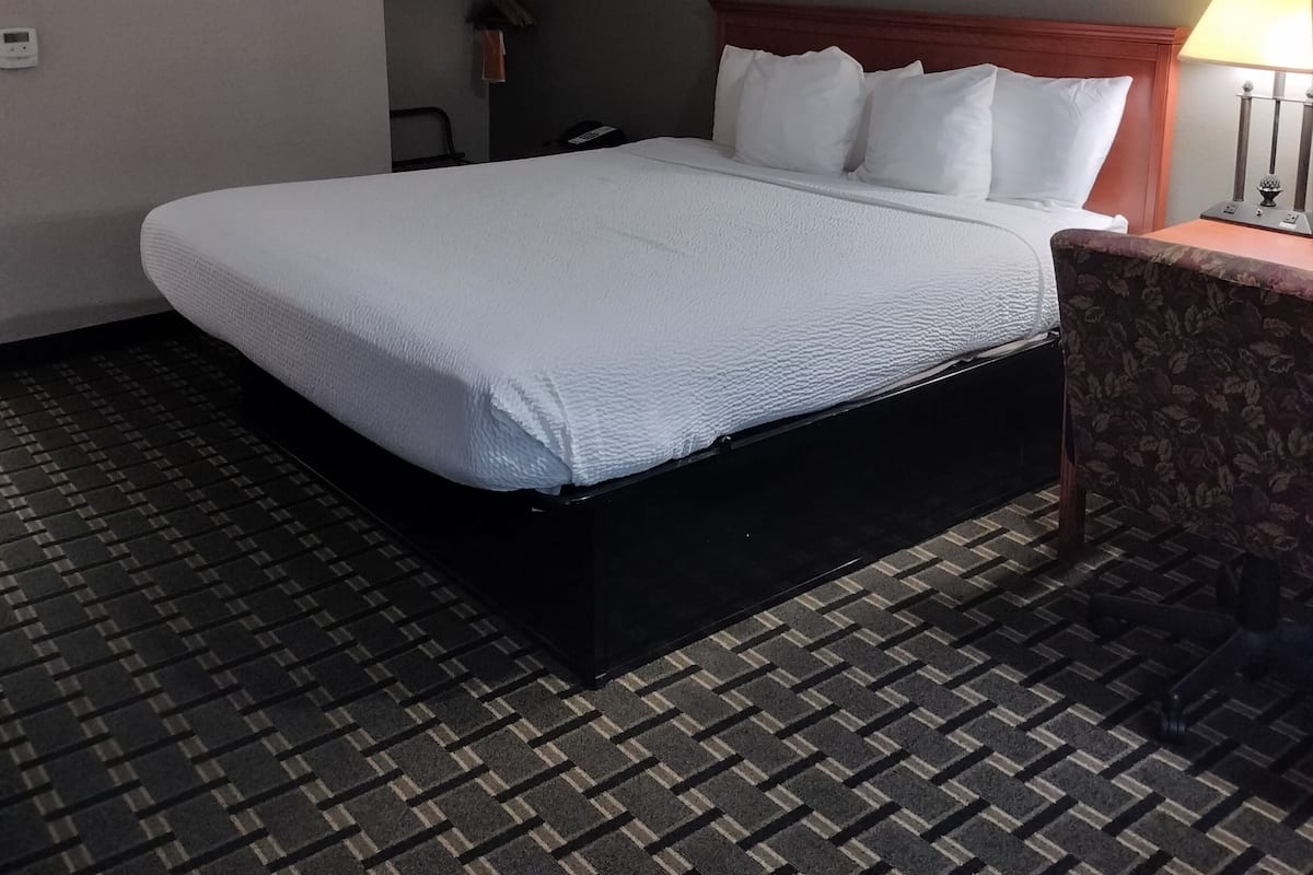Standard Room, 1 King Bed, Roll-in Shower, Non Smoking (Handicap Accessible) | Premium bedding, desk, laptop workspace, blackout curtains