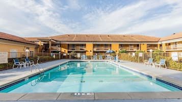 Outdoor pool, pool loungers