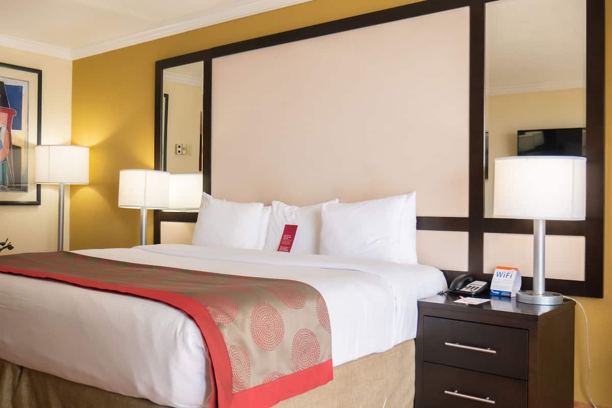 Habitación de hotel con una cama grande, dos lámparas de noche, una mesita de noche con un teléfono y un cartel de WiFi, un espejo y un cuadro en la pared.