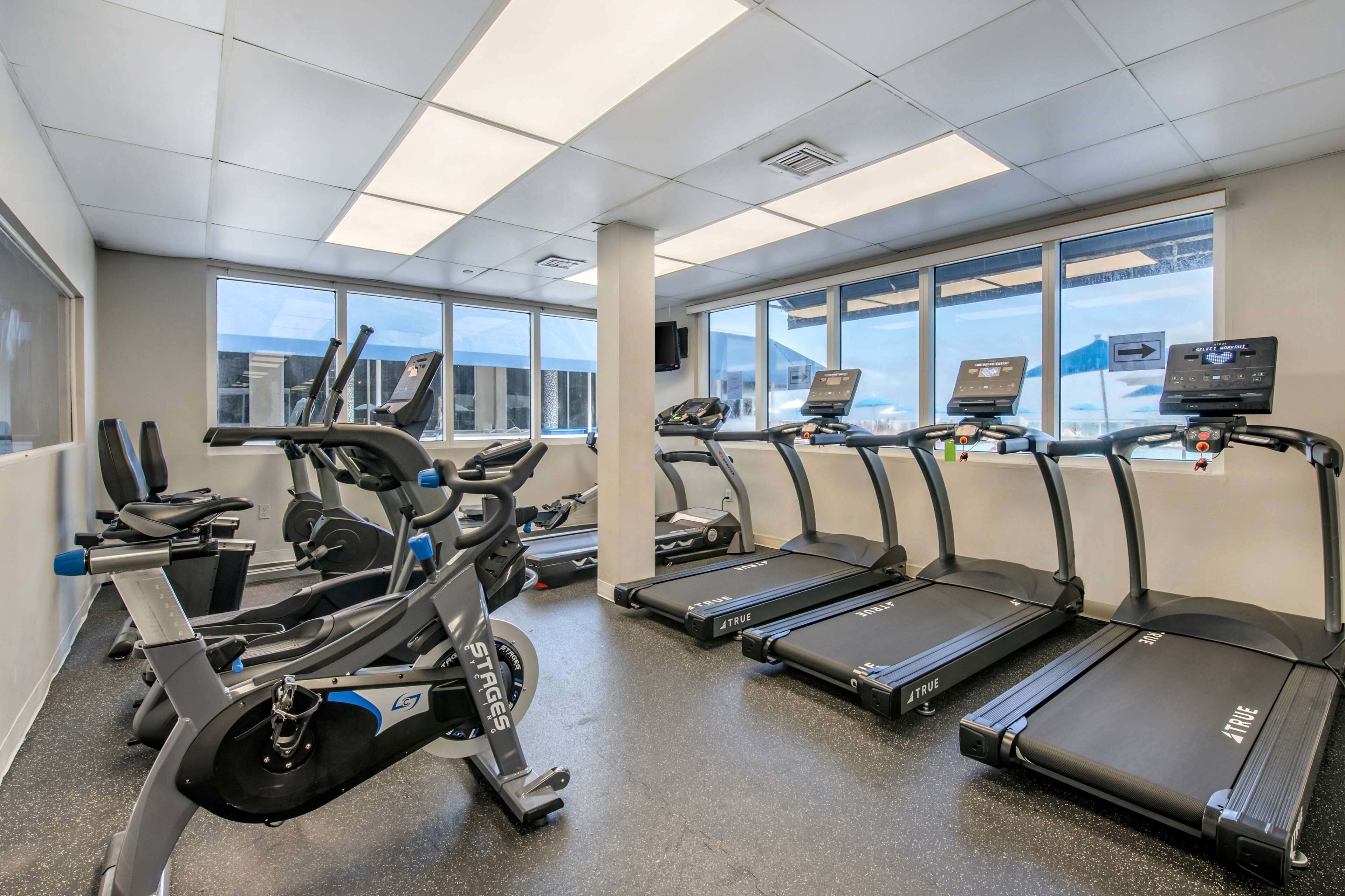 A gym with stationary bikes, treadmills, and weight machines.