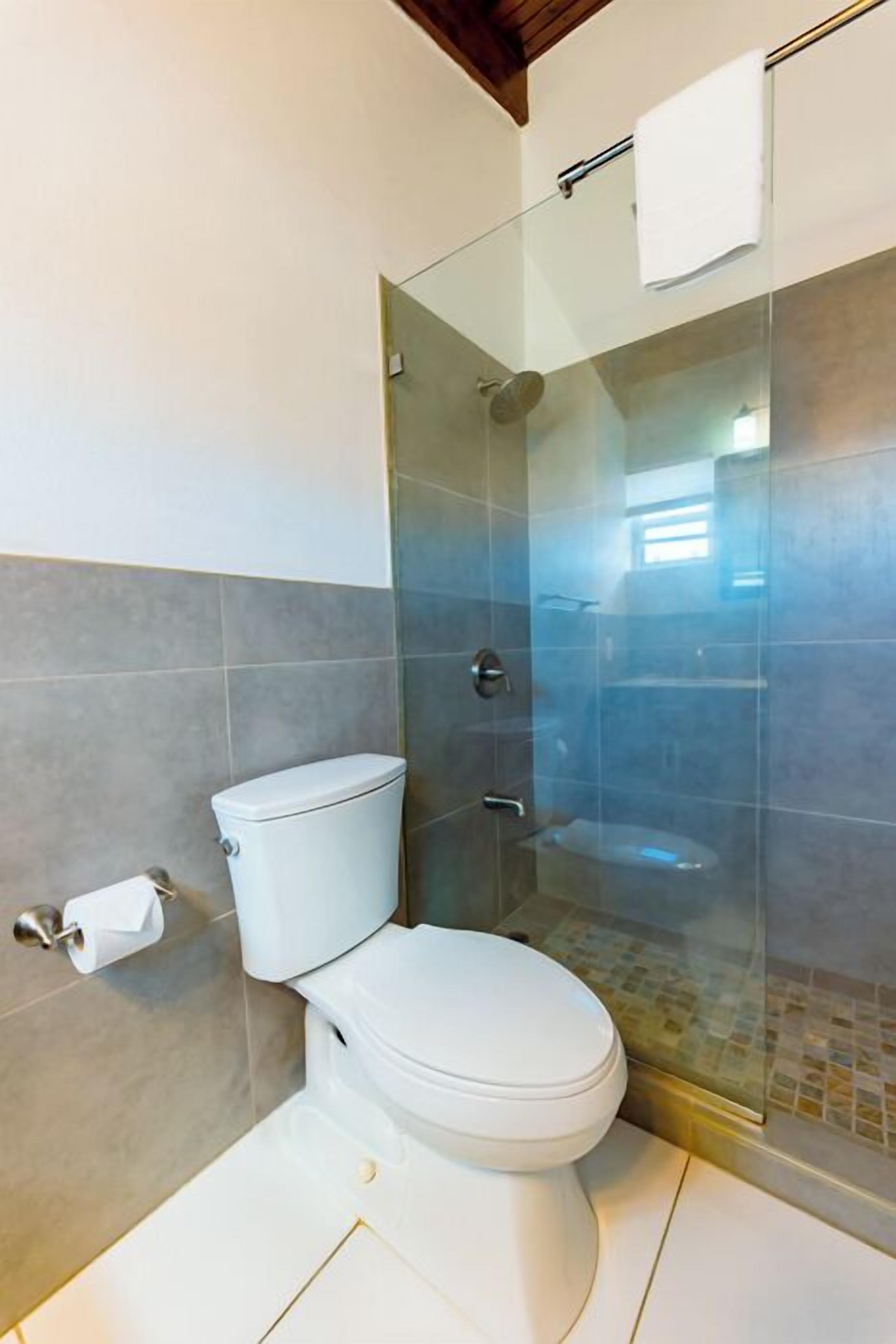 Ein Badezimmer mit Toilette, einer Duschkabine aus Glas und einem Handtuchhalter.