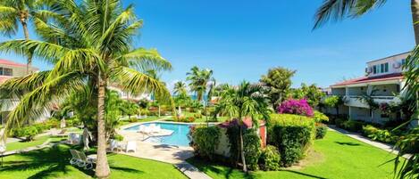 Una piscina rodeada de palmeras y un césped bien cuidado.