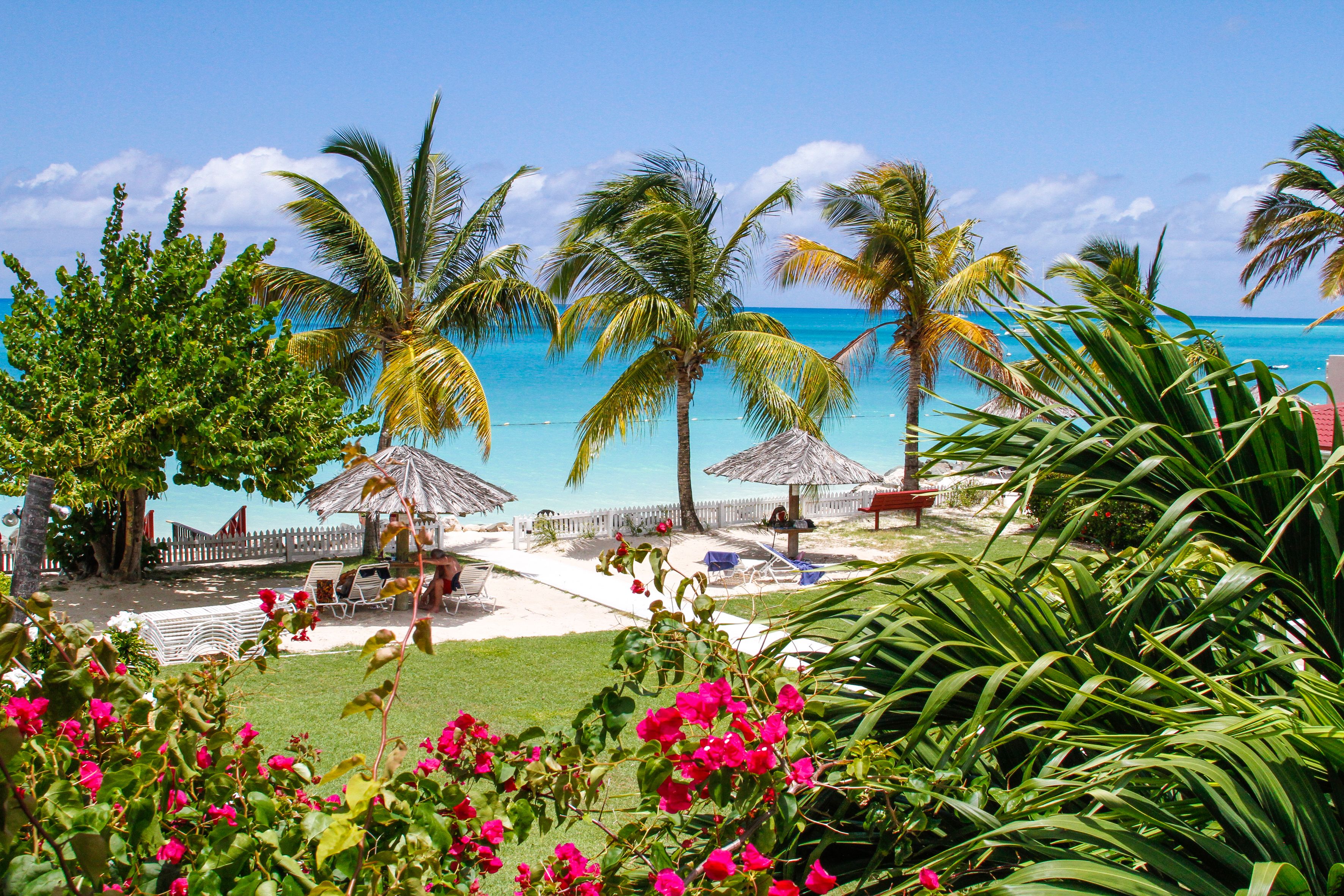 Vista da propriedade