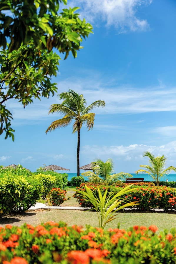 A tropical garden with palm trees, red flowers, and a bench.