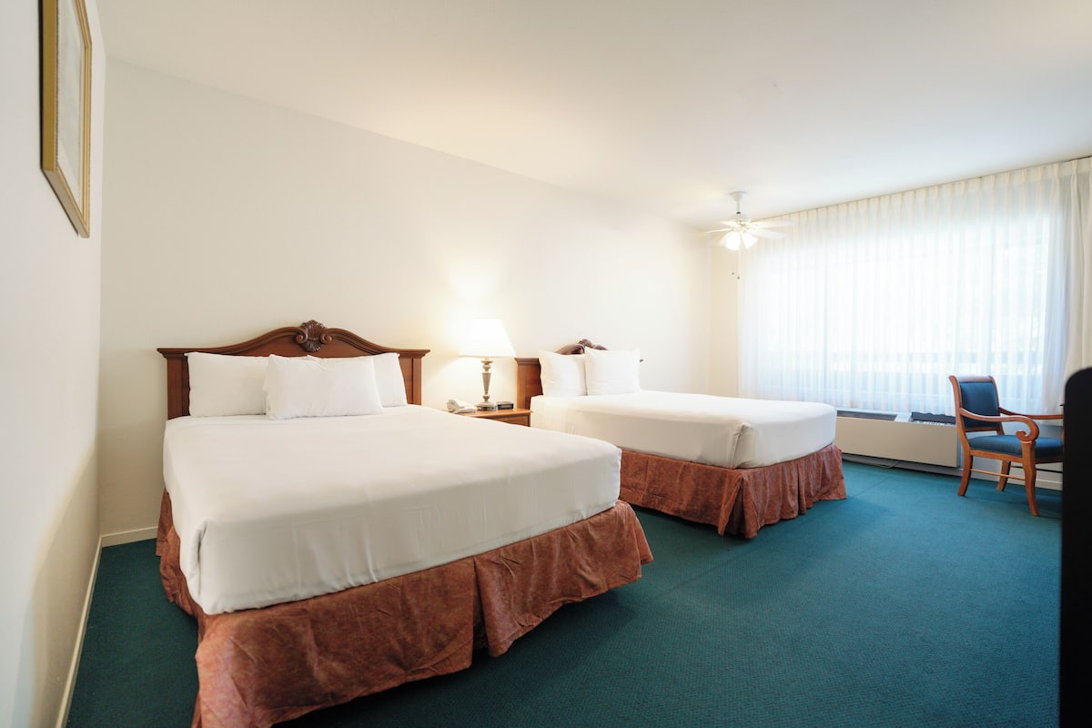 Cortinas blackout, wifi y ropa de cama