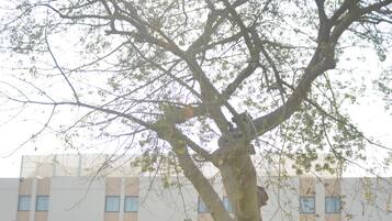 Area per feste di compleanno