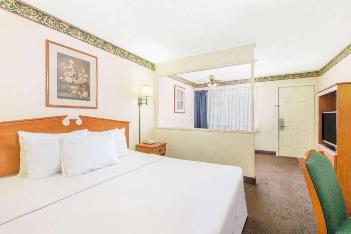 A hotel room with a bed, a bedside table, a lamp, a TV, and a mirror.