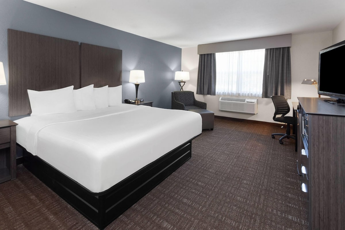 Room, 1 King Bed, Non Smoking | Pillowtop beds, desk, iron/ironing board, cribs (surcharge)
