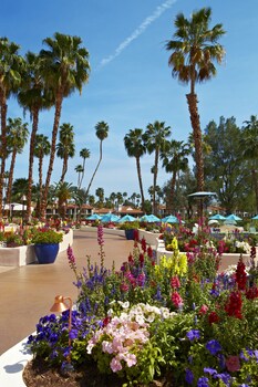Courtyard at Omni Rancho Las Palmas Resort & Spa