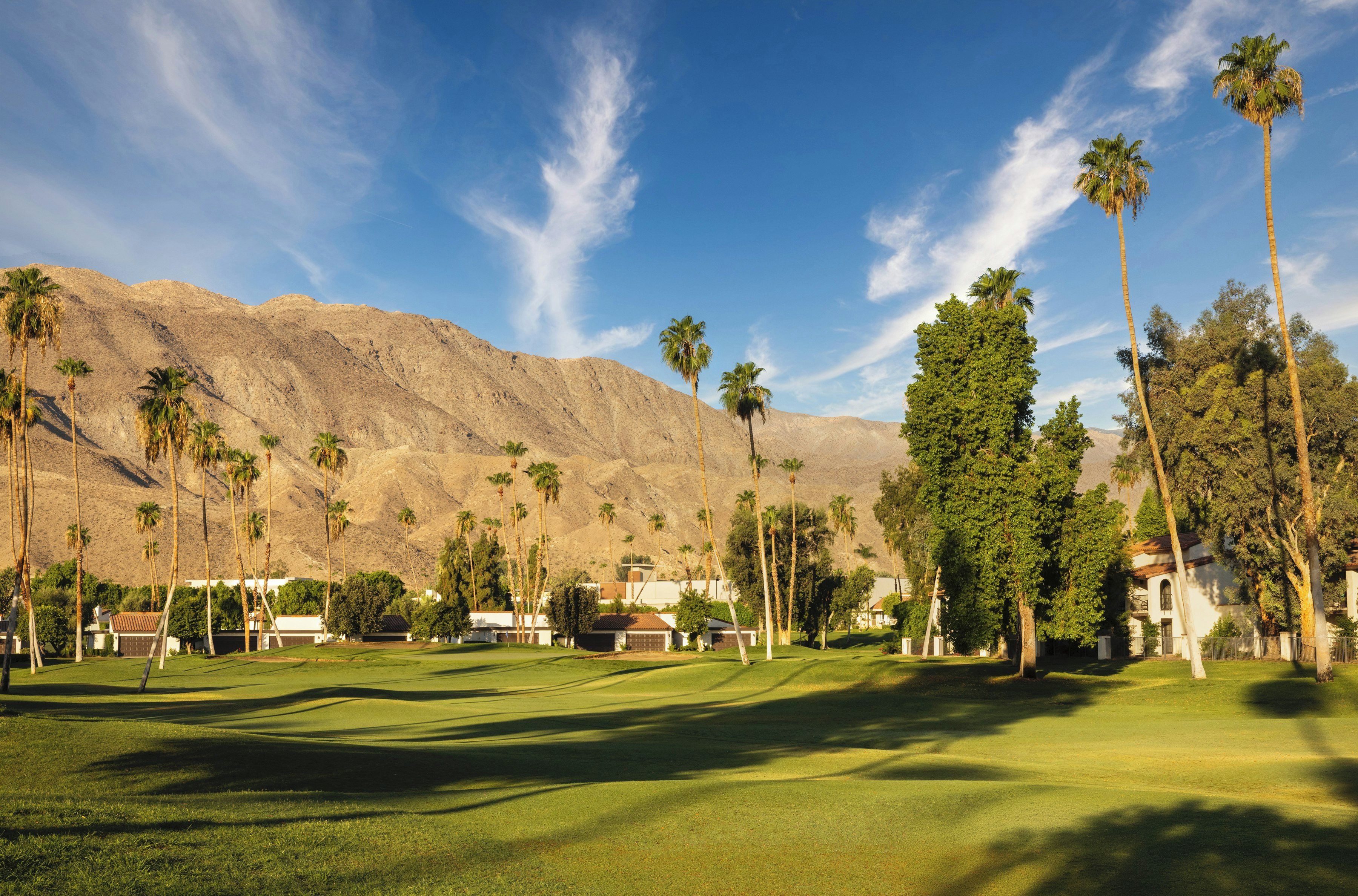A golf course with a mountain backdrop, palm trees, and residential buildings.
