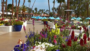 A resort with palm trees, outdoor seating, and colorful flower arrangements. - Omni Rancho Las Palmas Resort & Spa (Rancho Mirage)