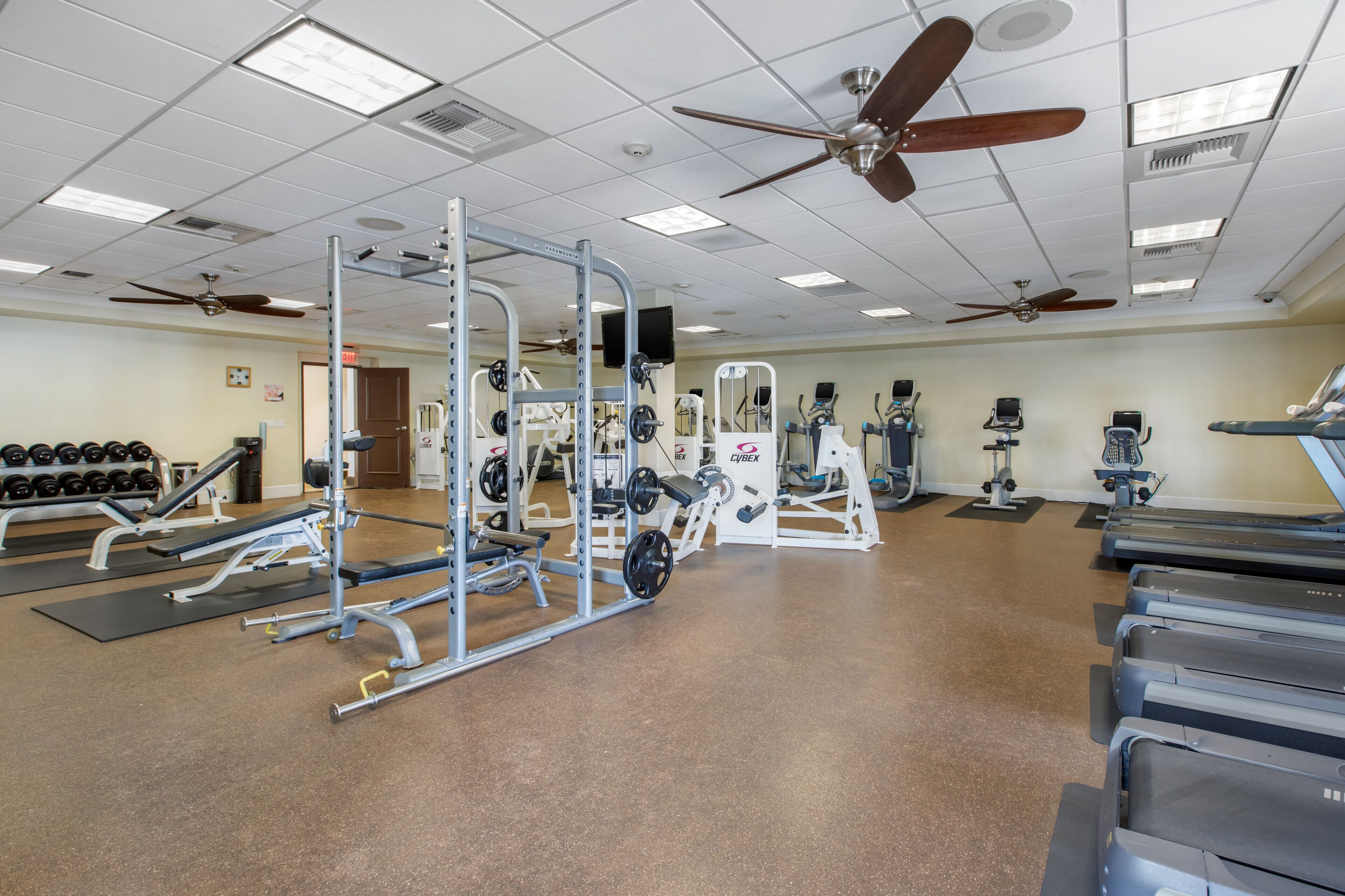 A gym with various exercise equipment, treadmills, and weight machines.