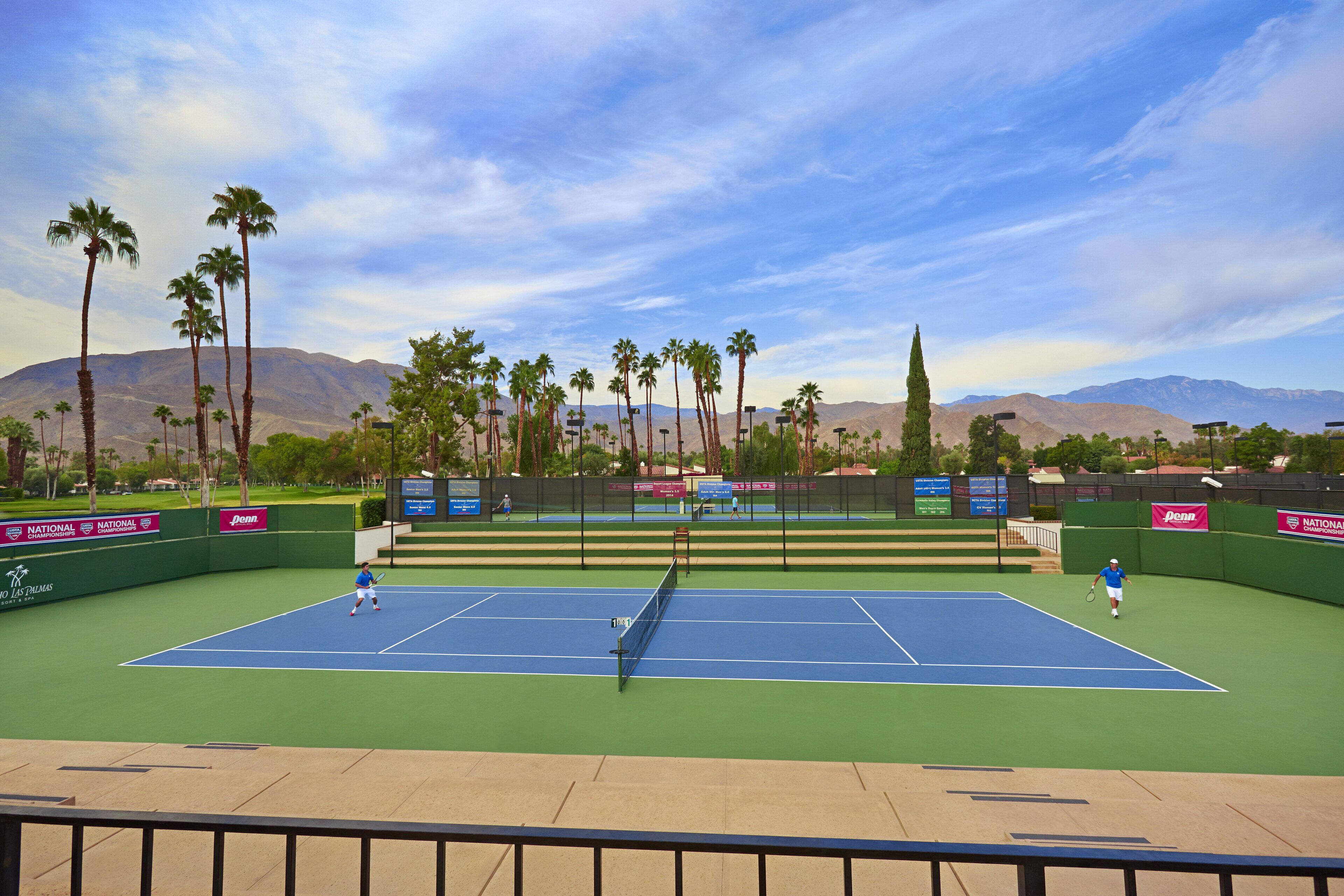 A tennis court with a net, surrounded by palm trees and mountains in the background.