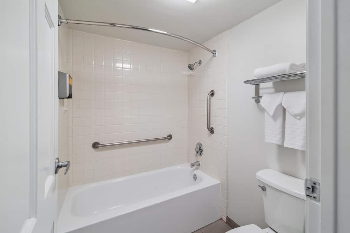 combined shower/bathtub, free toiletries, hair dryer, towels