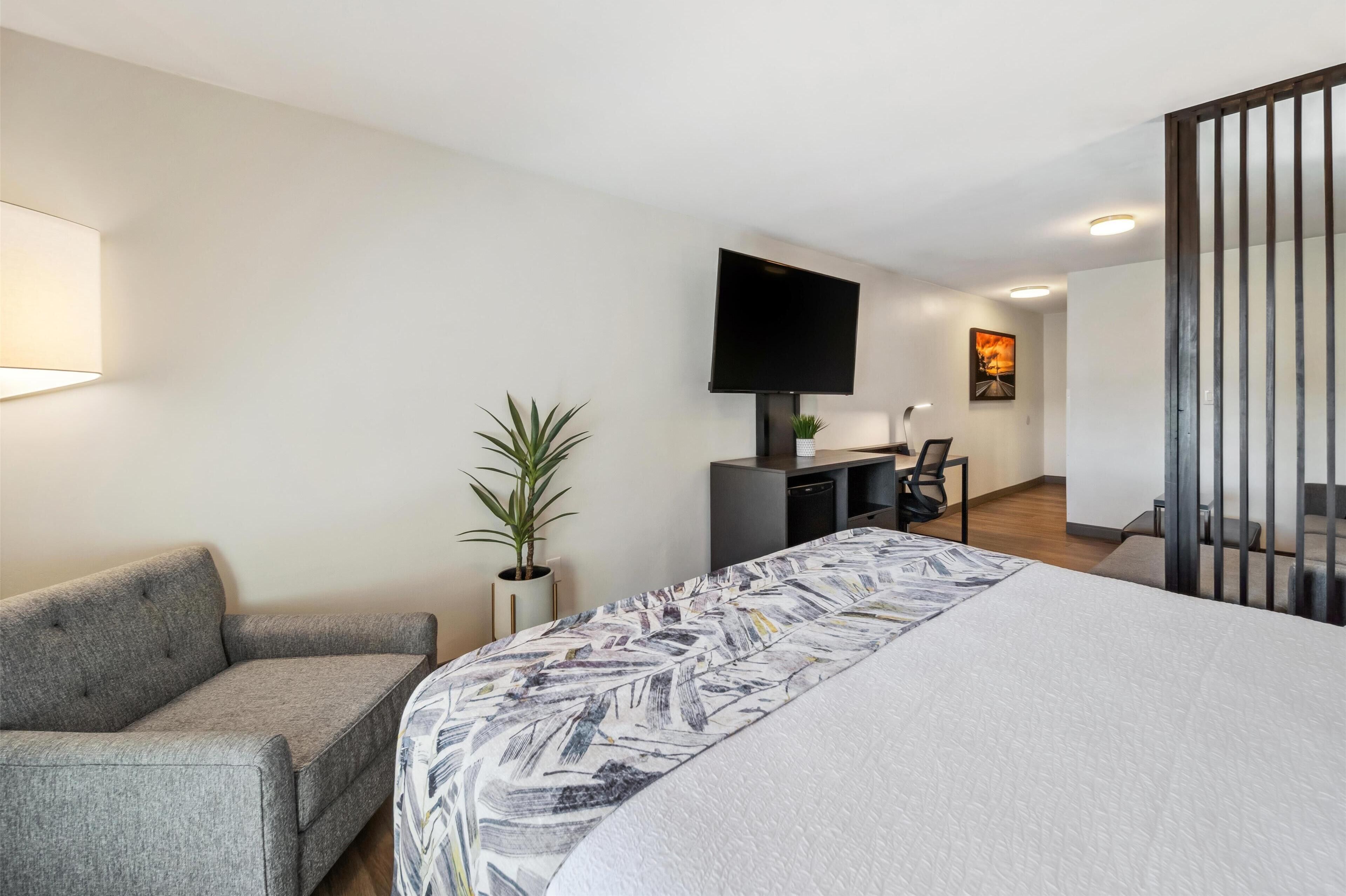 A modern hotel room with a large bed, a sofa, a desk with a flat-screen TV, a potted plant, and a painting on the wall.